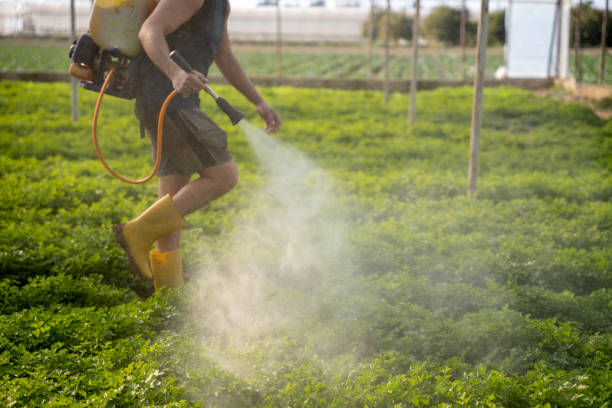 Professional Pest Control in Minturn, CO